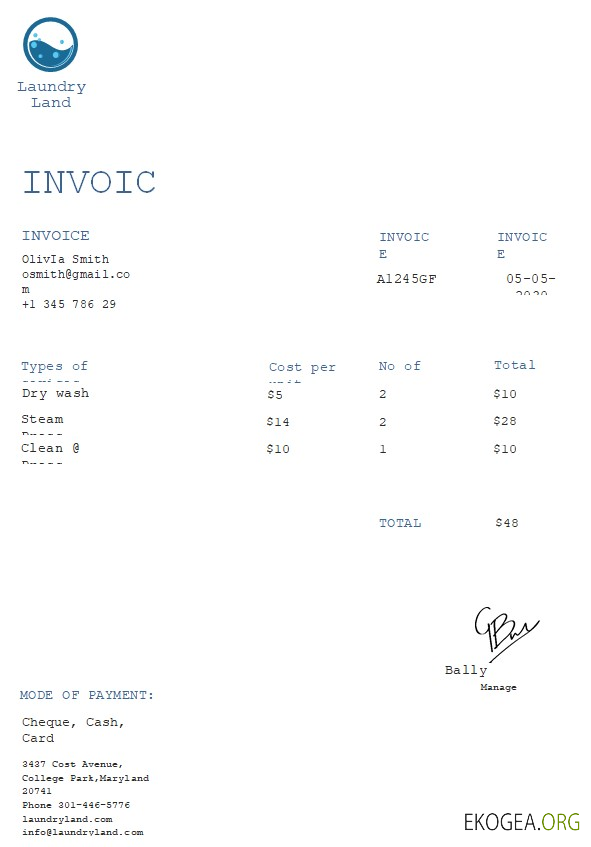 Modèle de facture de blanchisserie gratuit